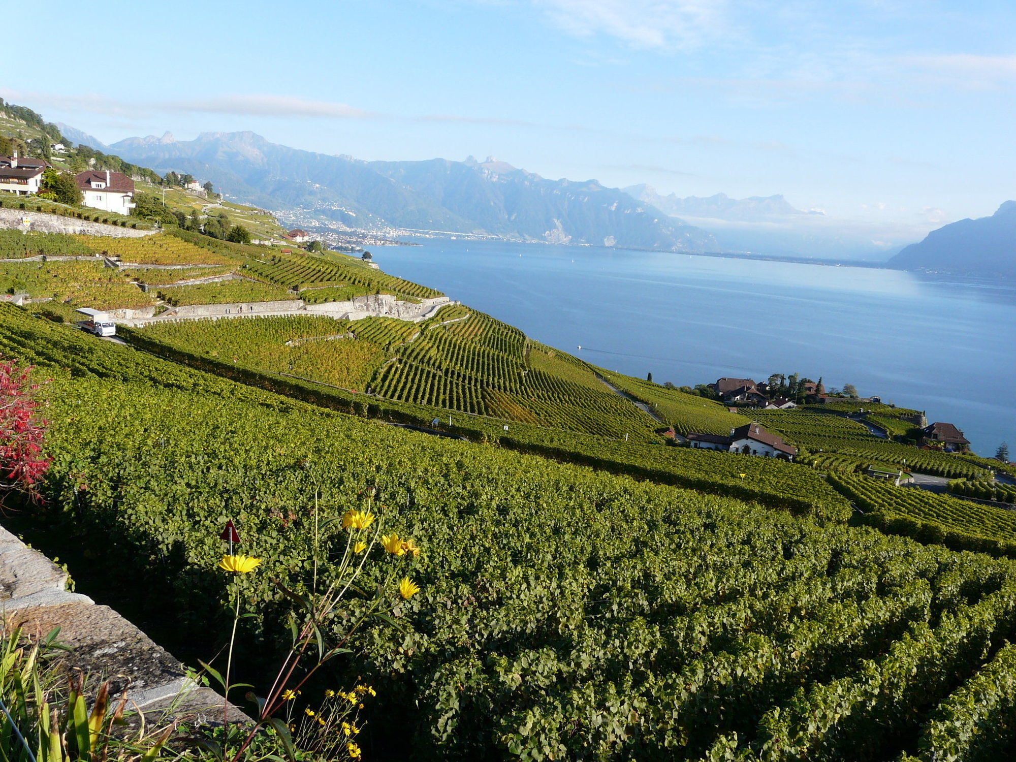 Beau-rivage Palace Lausanne